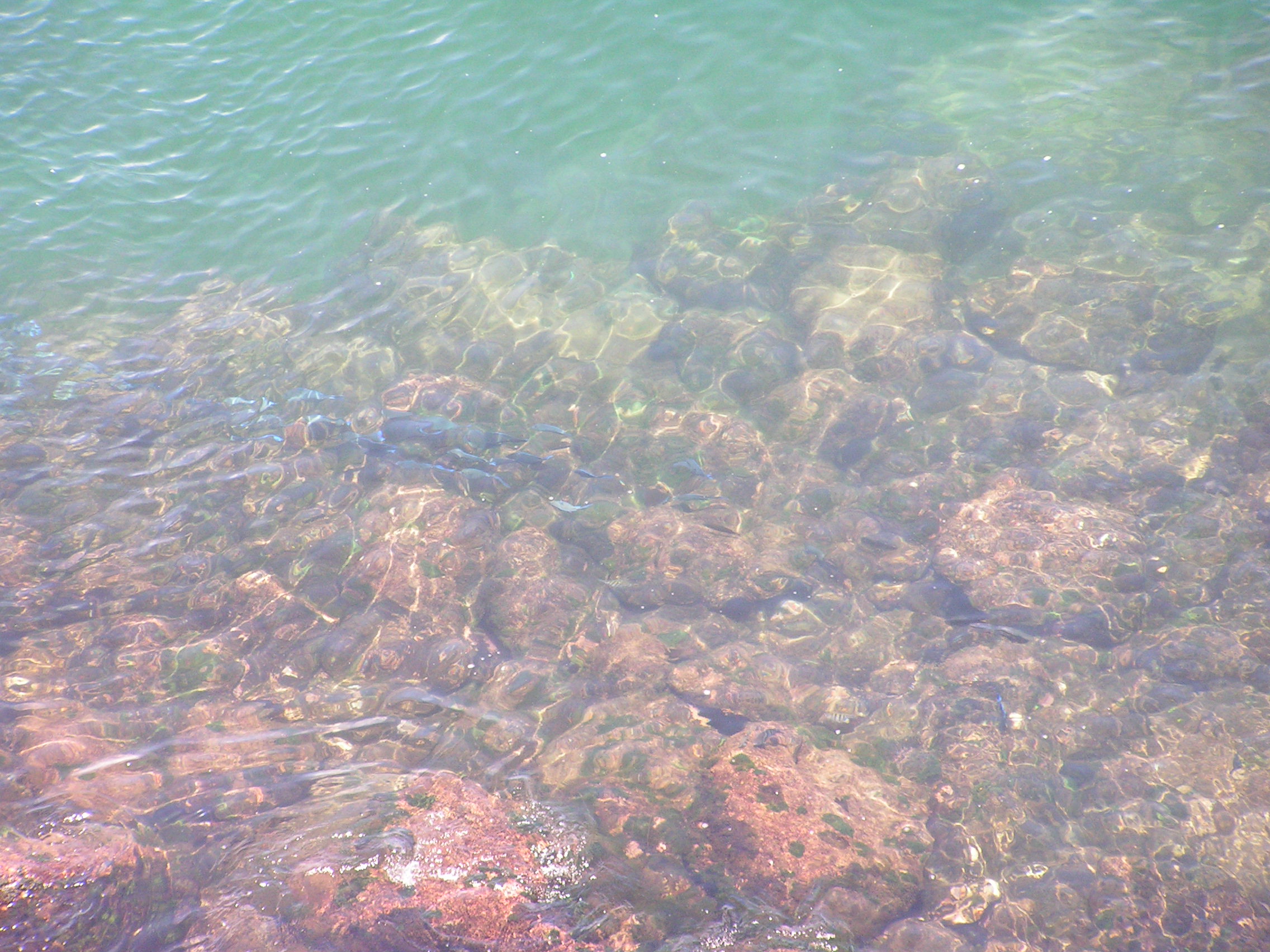 ./2005/Puerto Rico/Part 2/PICT0180.JPG